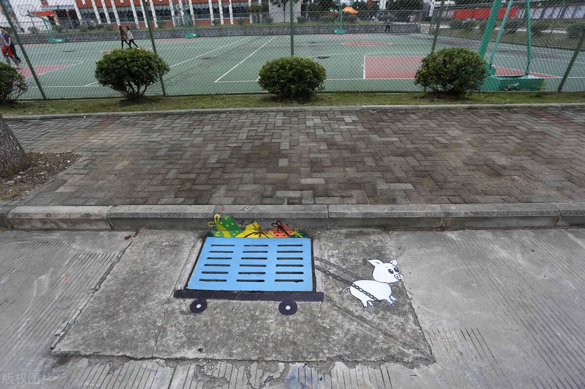 上海排名前5的专科学校，学生通过单招，综评专科考上，会很赚