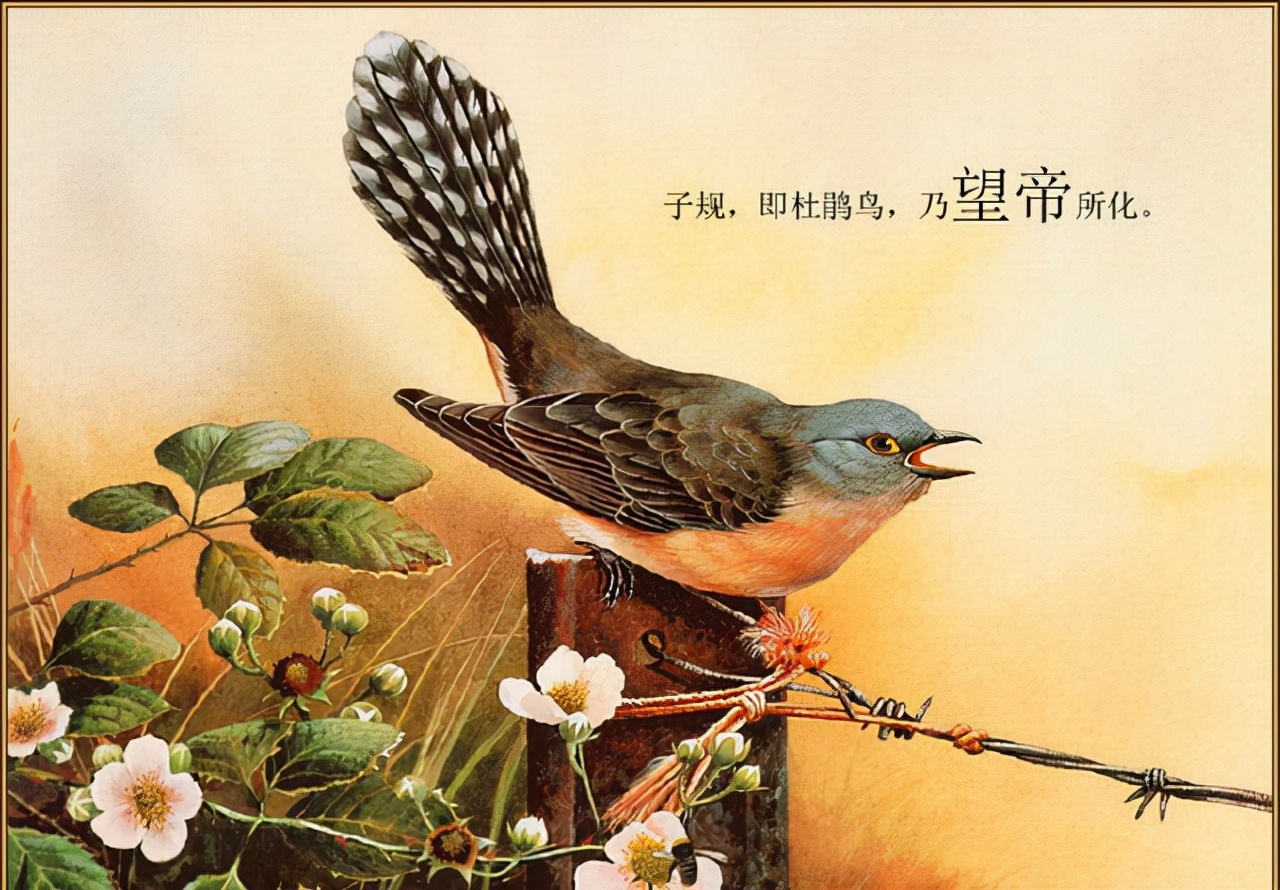 从典故中探寻李商隐《锦瑟》一诗的主旨