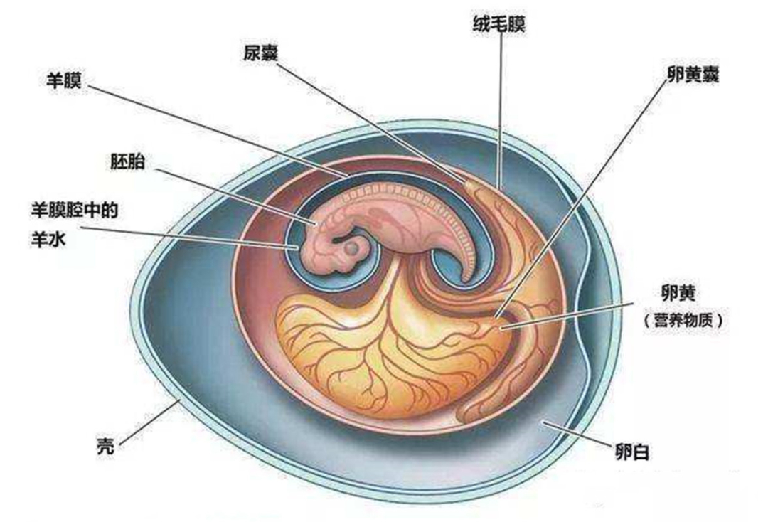 地球2.3亿年前下了场200万年的雨，帮恐龙塑造一亿六千万年霸业