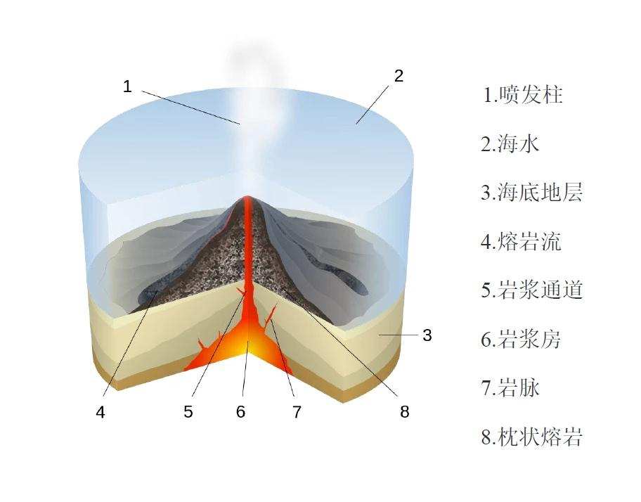 怪異！科學家在太平洋底發現“黃磚路”，亞特蘭蒂斯文明遺跡？