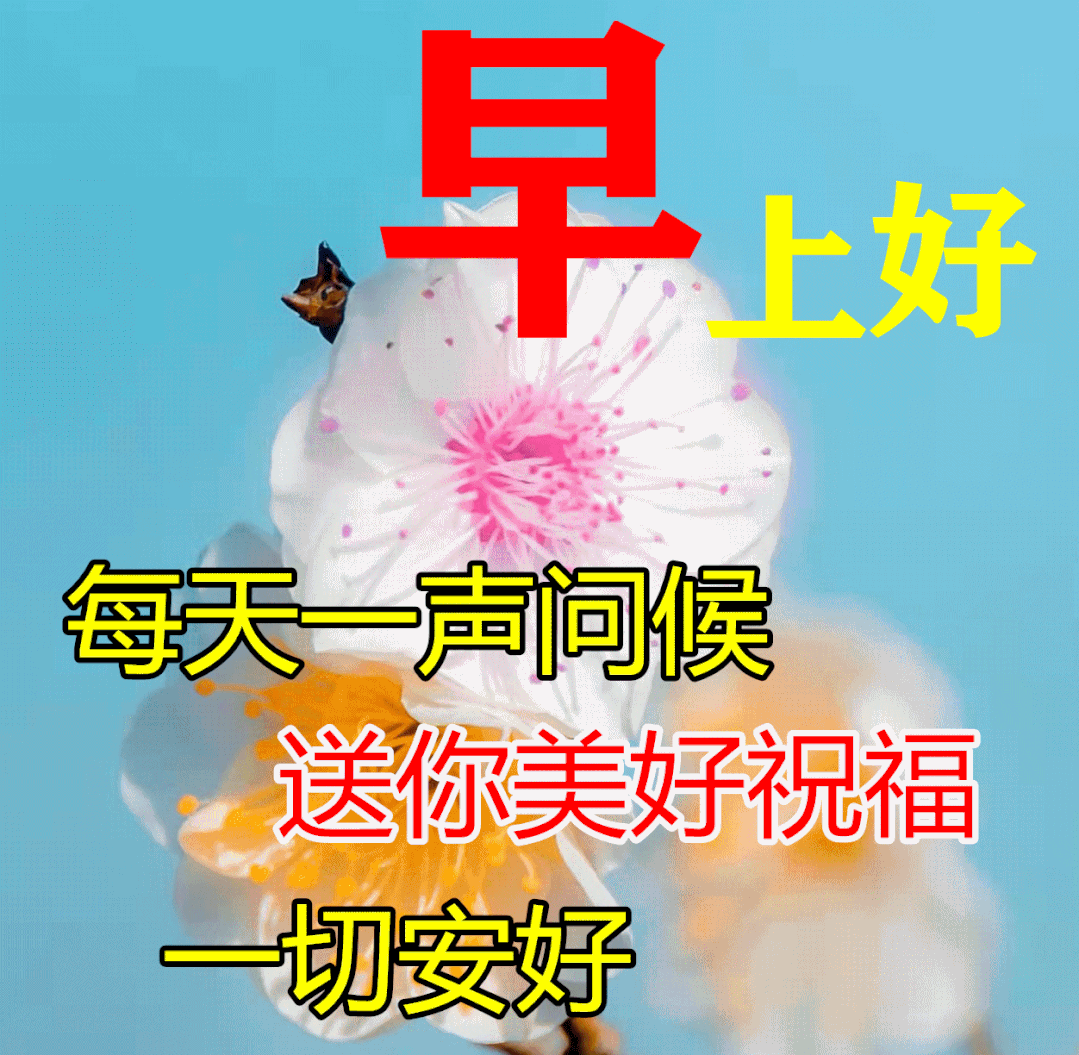 「2022.05.21」早安心语，小满正能量最美阳光语录句子说说图片