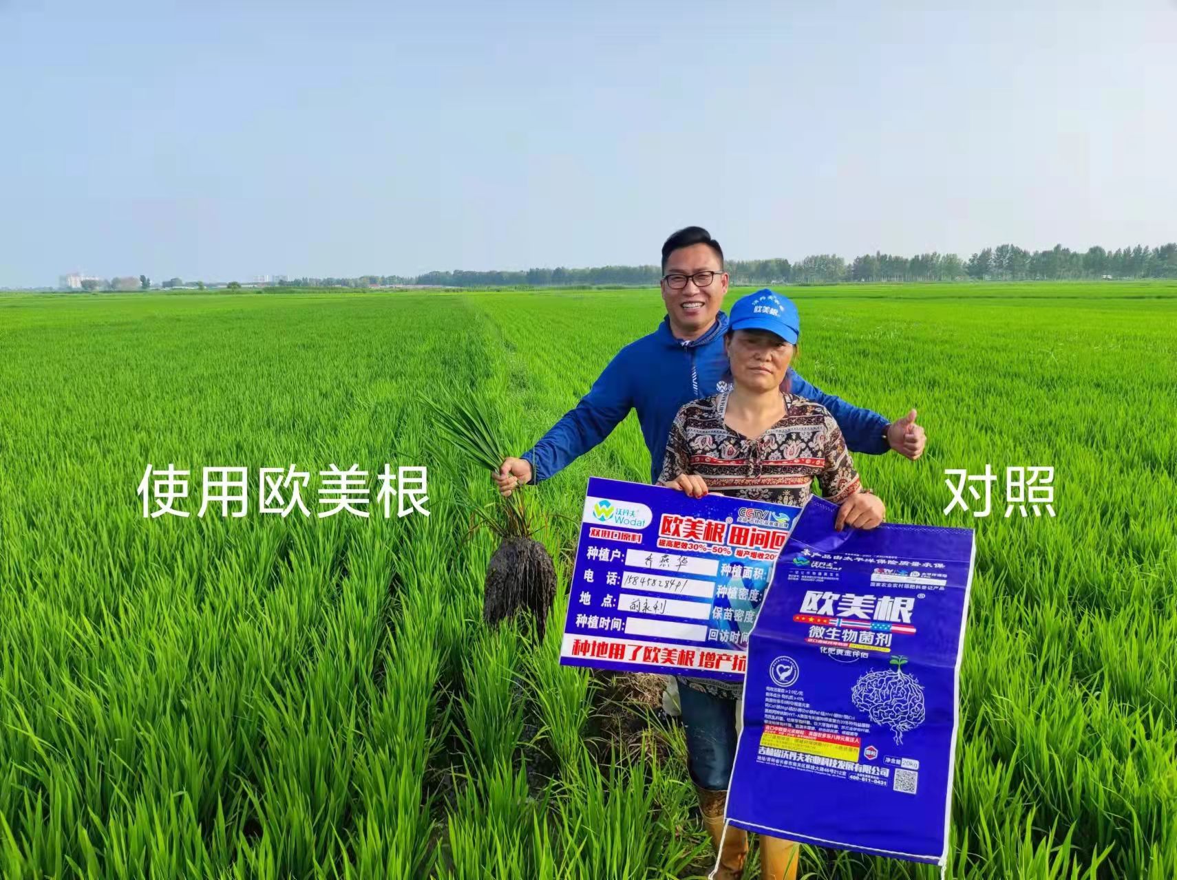 欧美根微生物肥料 助力乡村振兴