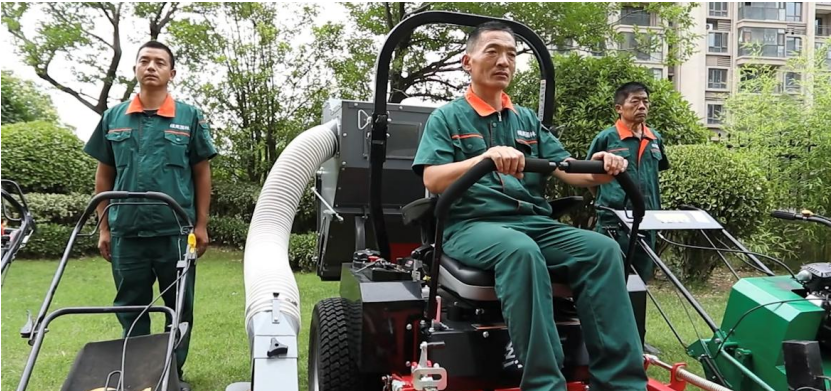1̹԰ʵǻ۸Ч̸̻԰Ϊƫ˧壿