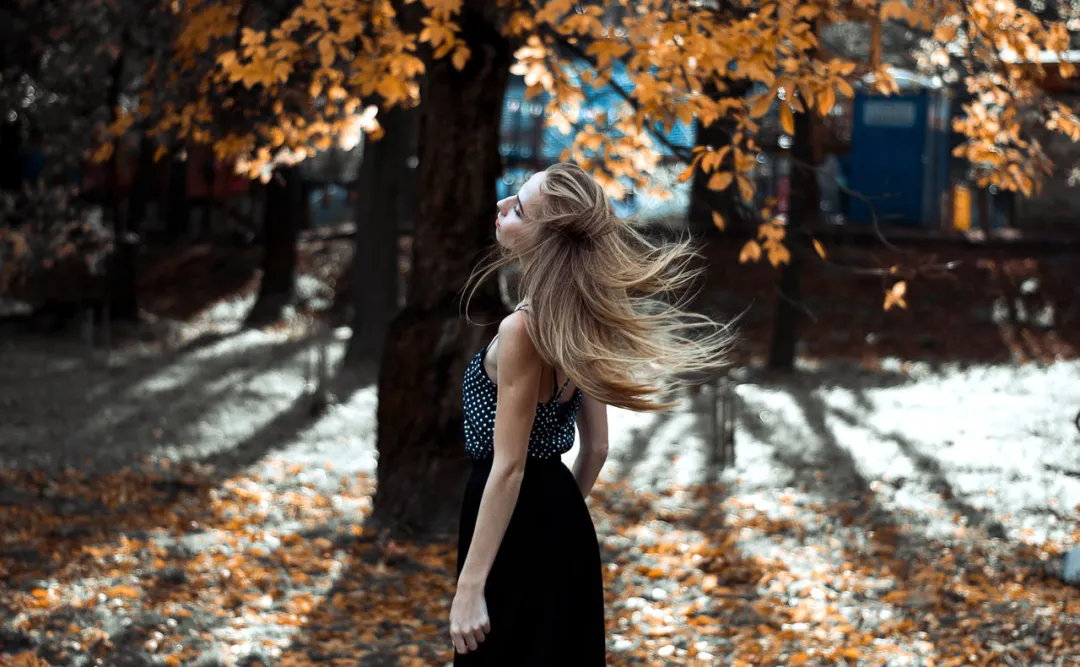 南北交12星座关系攻略！重拾你的人生主导权（上）