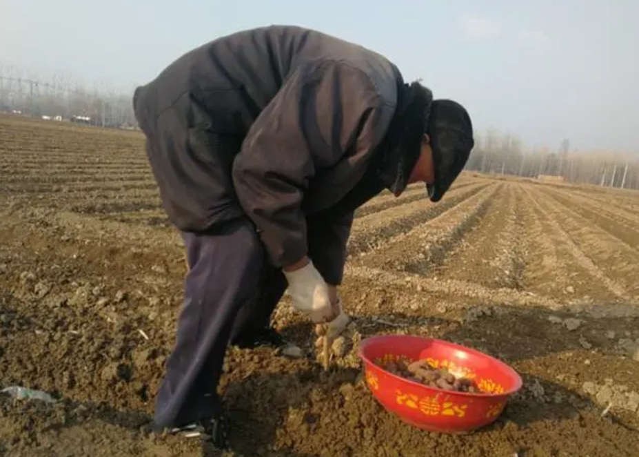 1976年，一名河南男子被冒名顶替上大学，37年后欲索赔115万