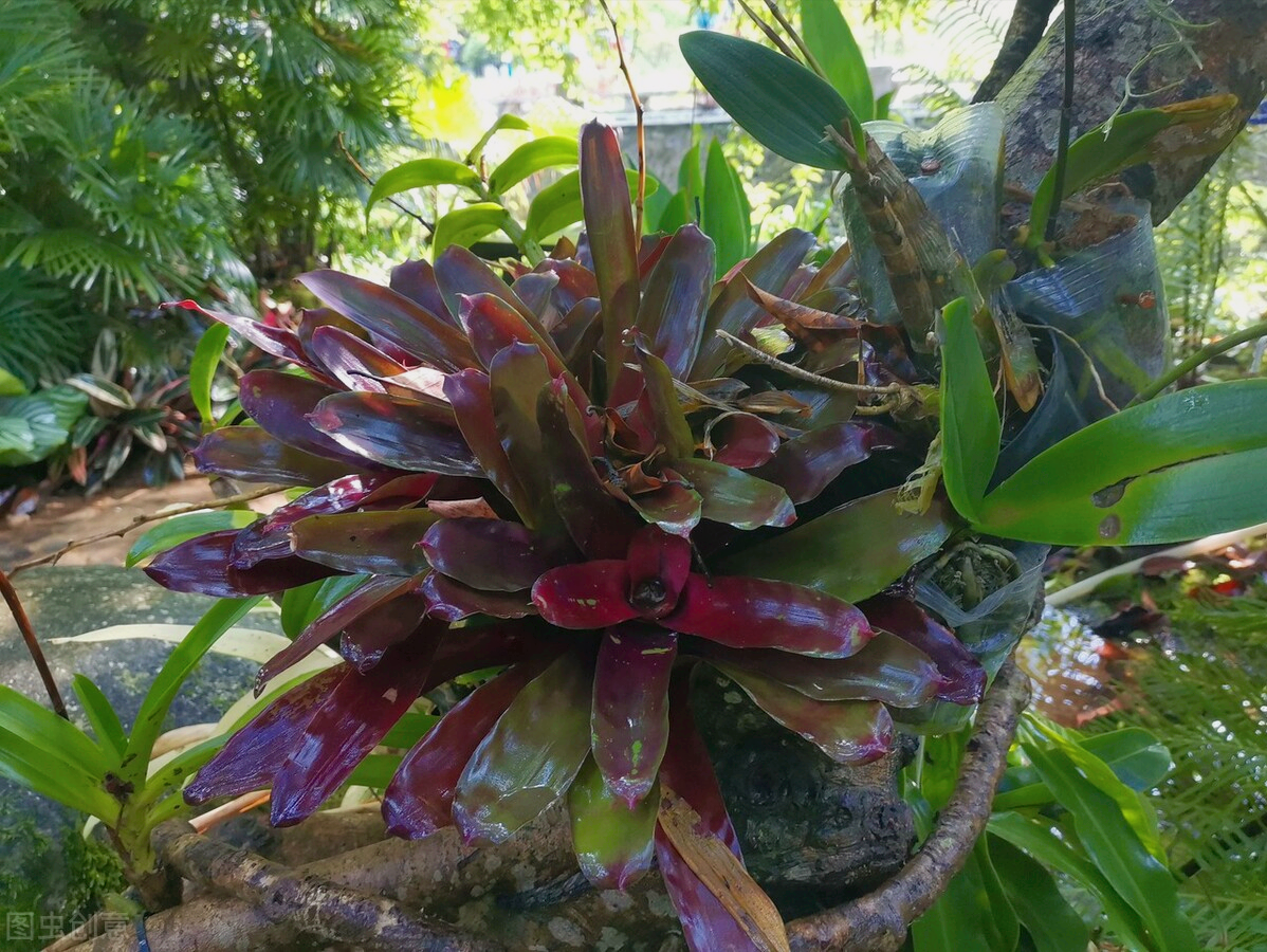 一花一深爱，花海美蓝天，花艳醉春光，花笑荡柔情，人间如仙境