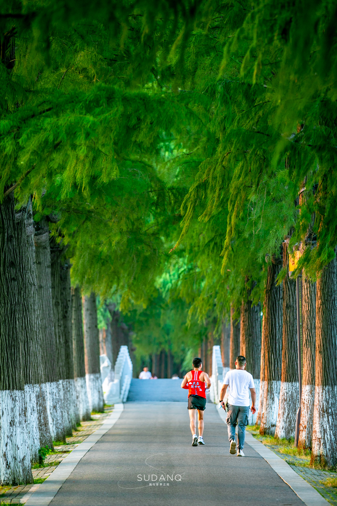 成功了！武汉上榜！这座城市真是越来越迷人，处处是风景