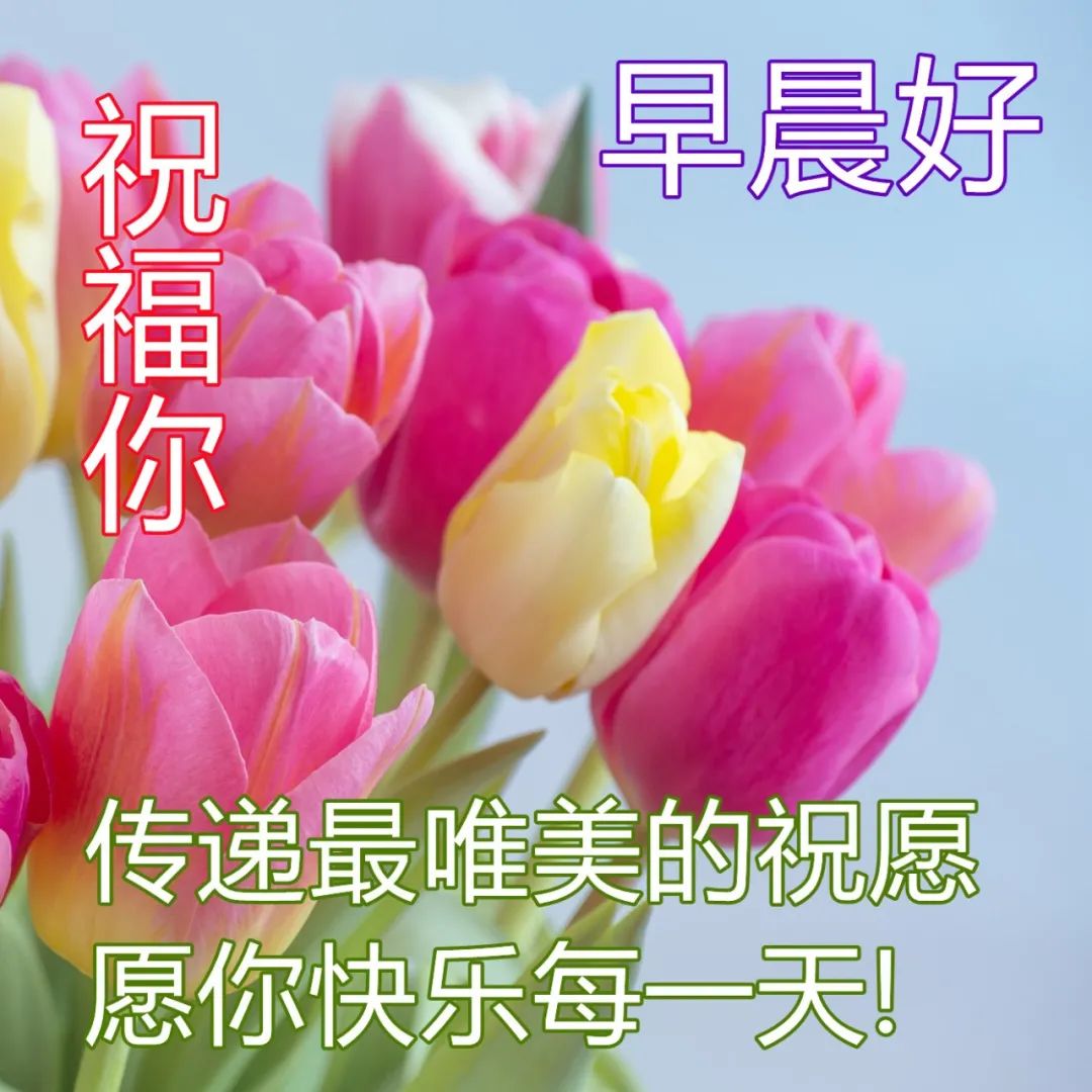 2022.03.27早安心语，早上好温馨正能量语录，周末快乐