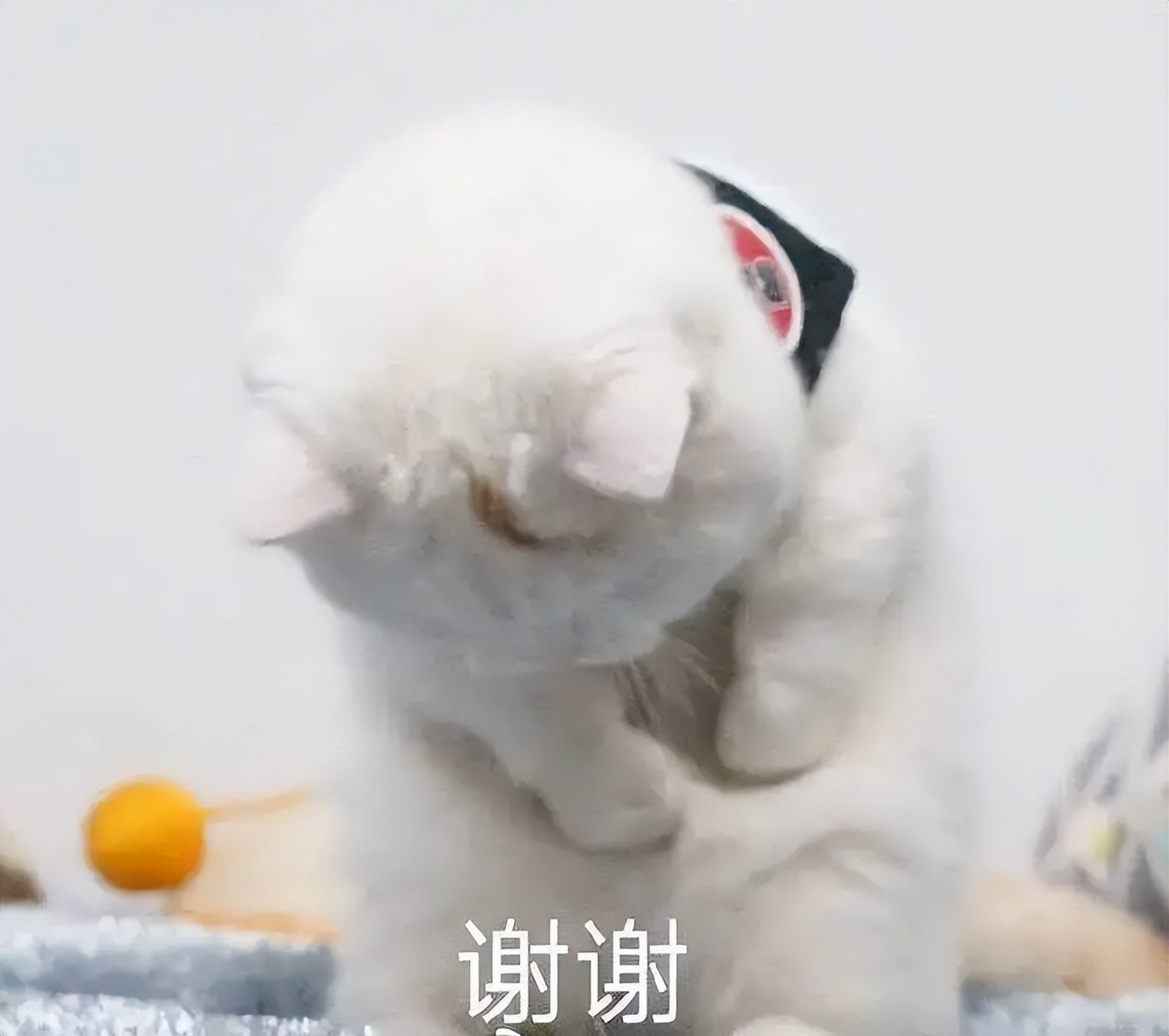 Python+selenium自动化生成测试报告