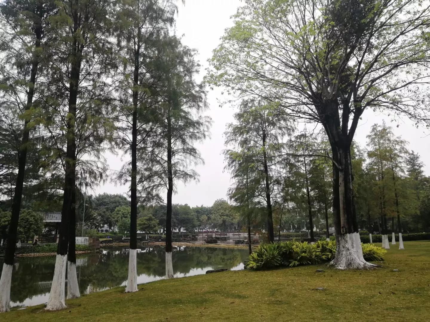 地铁4号线大学城游玩攻略，领略那不一样的广州大学城风光（C篇）