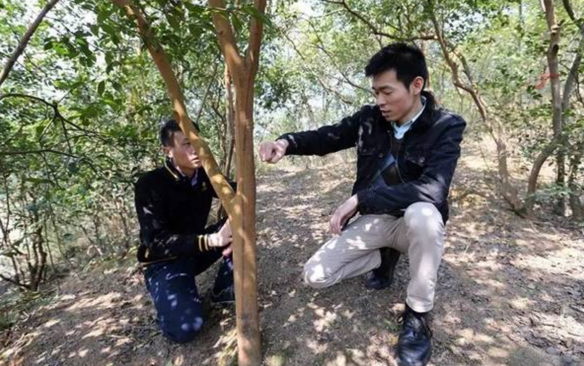 放弃美国百万年薪，回国当村官拿1450月薪的“耶鲁哥”，后来怎样