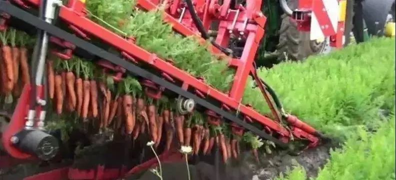 价值连城的胡萝卜：产业旅游成功的七大经验