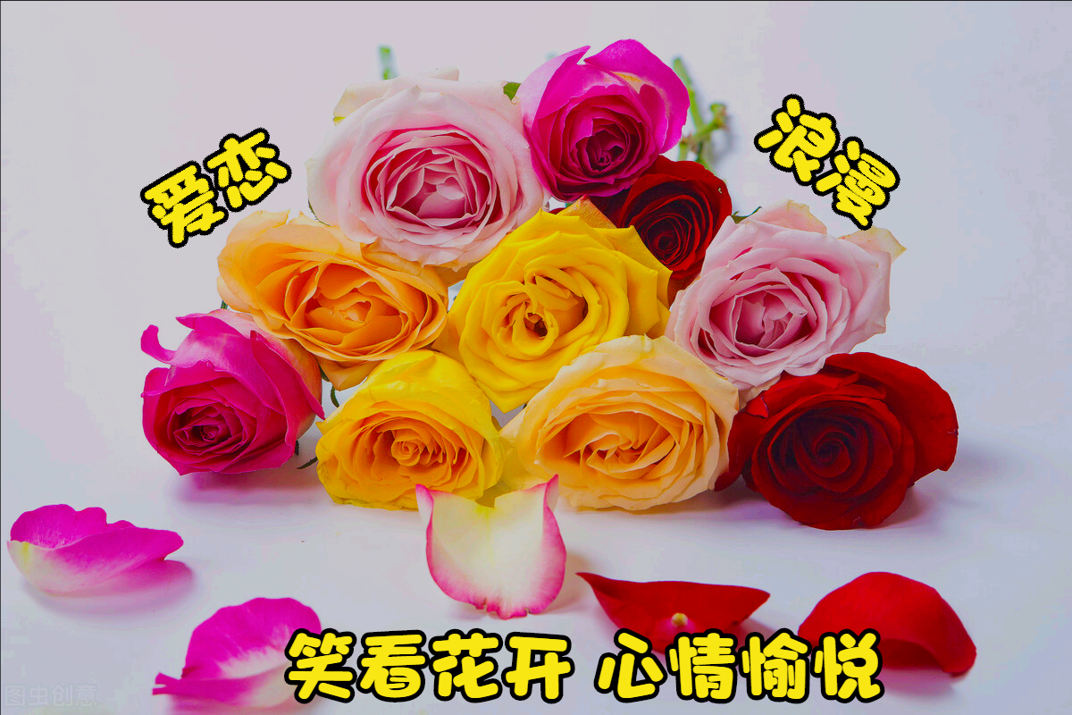 一花一世界，刹那即永恒
