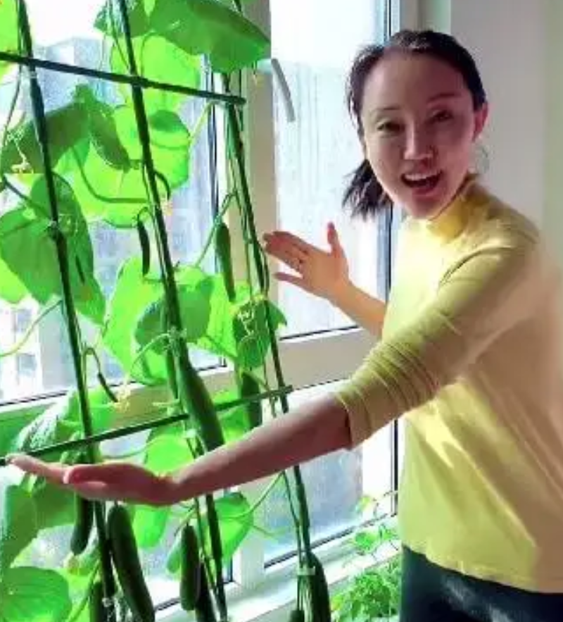 80后山东夫妻，放弃5万月薪，回村种菜，一天卖了120万，凭啥？