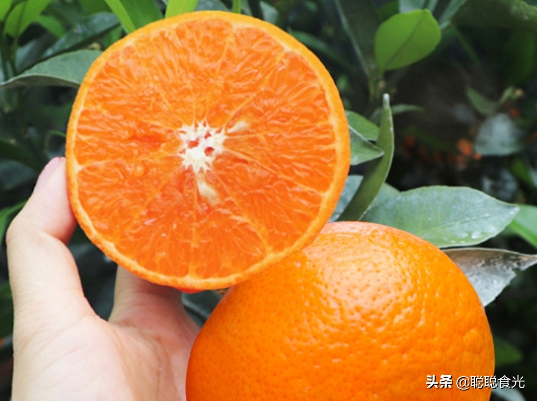 孕妇可以吃耙耙柑吗(孕妇可以吃耙耙柑吗?)