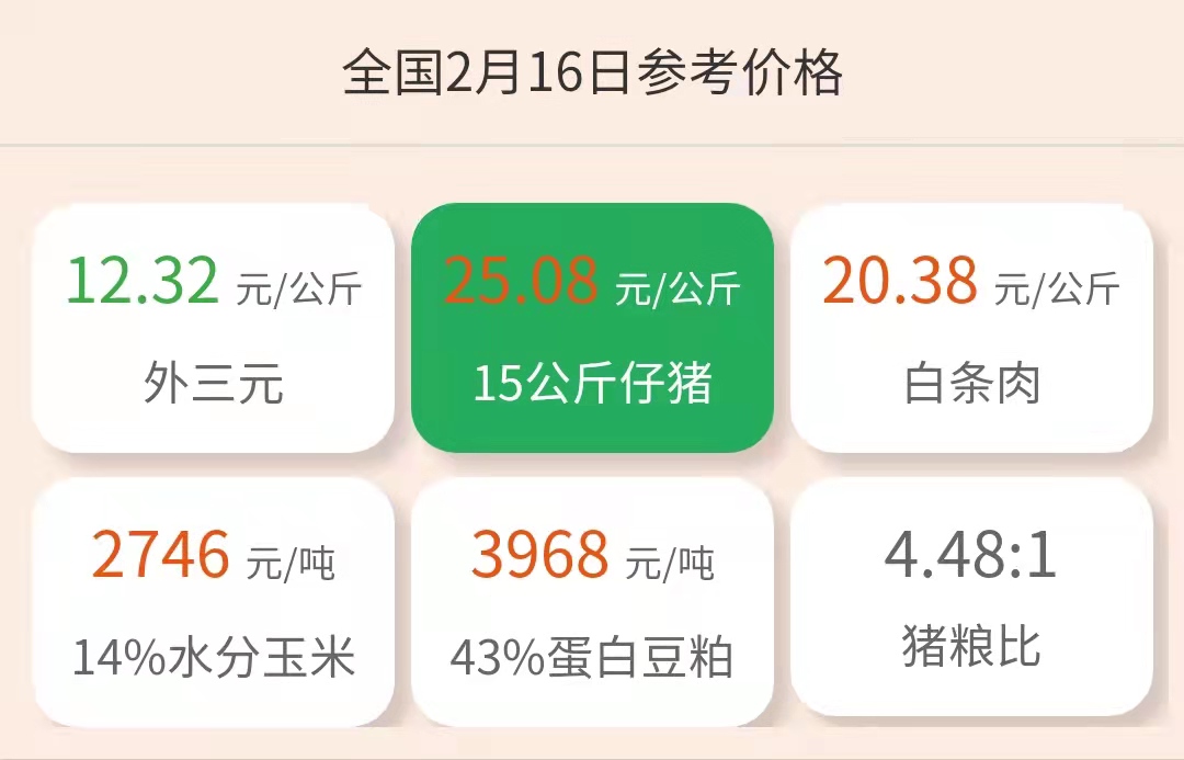 2月16日仔猪价格：猪价下跌，仔猪价格震荡，下半年才能熬出头？
