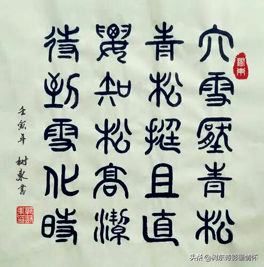 青松的品质和精神(大雪压青松，青松挺且直，松在中华文化中象征着一种精神)