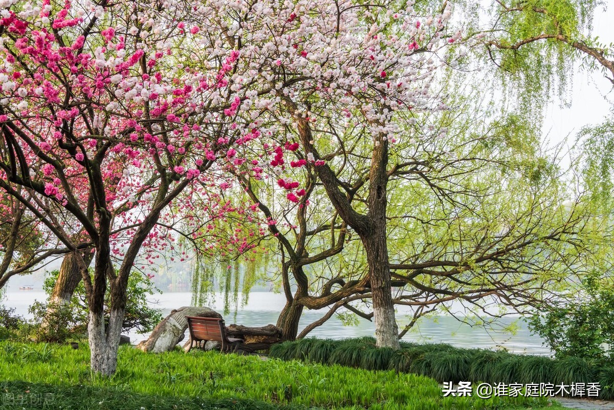 苏轼雨中泛舟西湖，天晴后写下两首诗，被评为西湖最美的评语