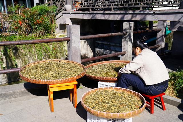 藏在宁波的小众古镇，美了1200年，年糕饺超好吃，上海人最喜欢来