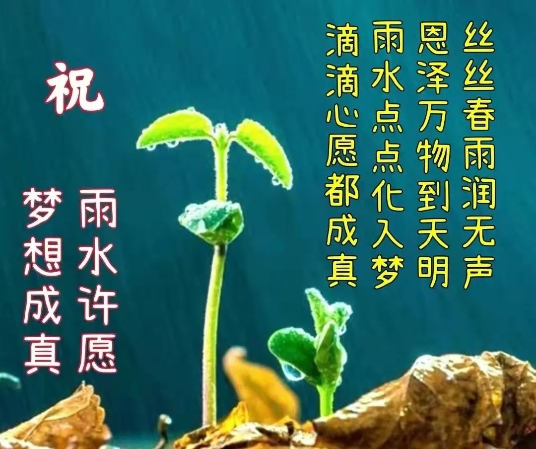 02.18」早上好,雨水节气免打字问候语图片语录精选合集