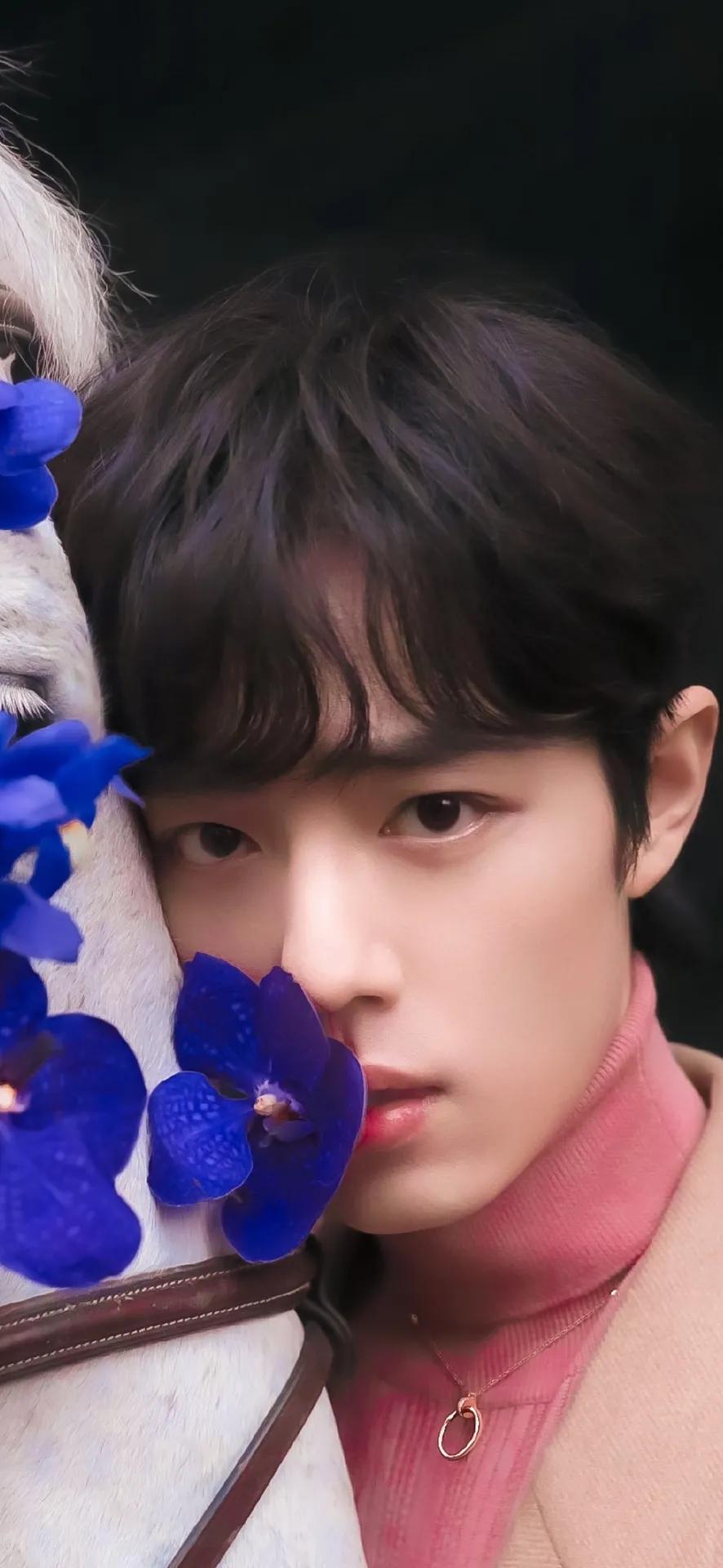 「肖战图集」帅气得超过1005分