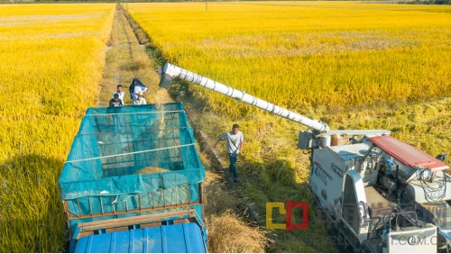 浙江嵊州有支“三界种粮大队”，种粮种到长三角，小家富到大家富