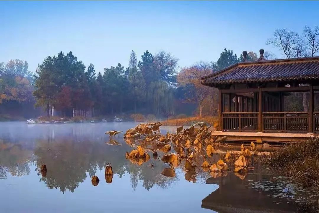 万灵设计创始人卫周敏：万千设计，灵于自然