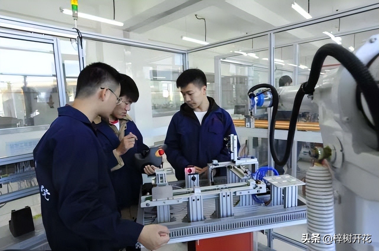 究竟什么才叫专业？“专业”是从哪些方面来判断或评估的？