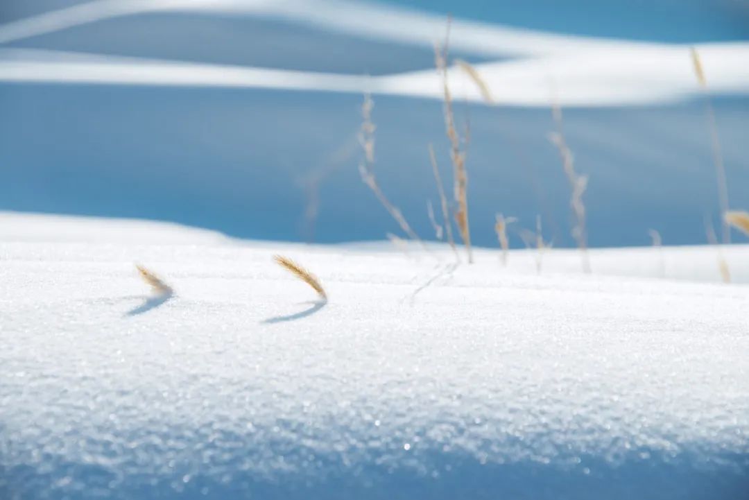 漫天飞雪的诗句（分享10首描写雪景的最美诗词）