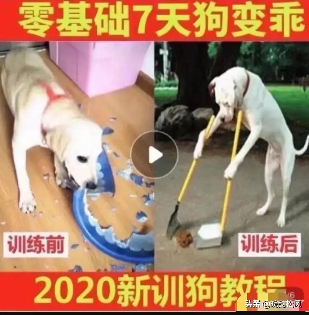 论拼多多那些雷人的广告