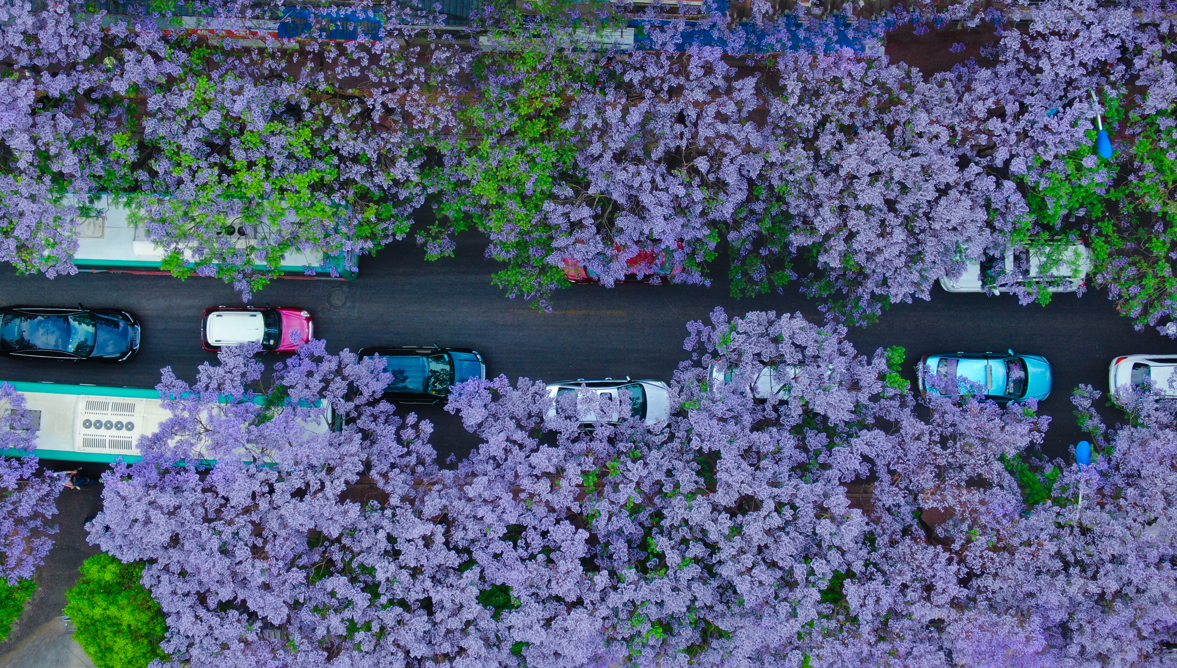 中老铁路正式通车了！昆明到版纳仅需3小时，11座车站一站一景