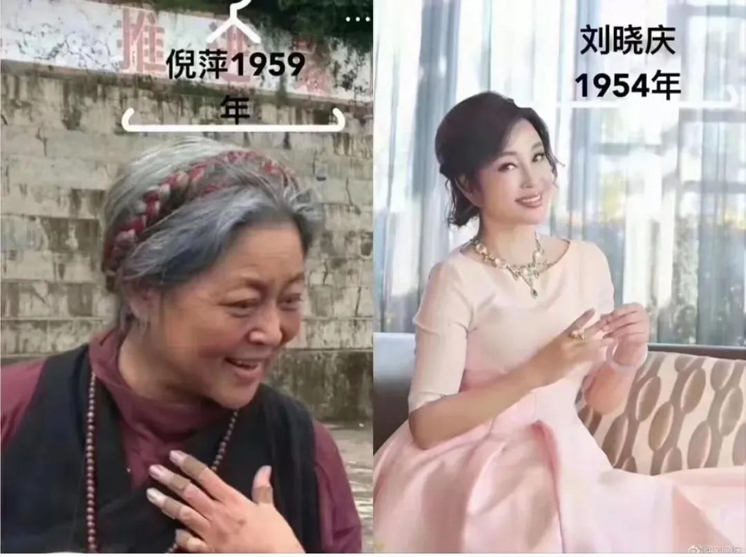 爆笑神评论：按照今年的菜价，这朵花不便宜吧！哈哈哈