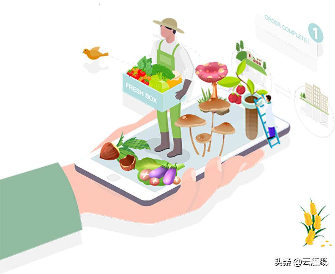 智慧农业】农业SaaS，农业数字经济新蓝海