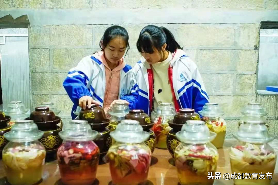 成都又获教育部点赞！这次是为啥？