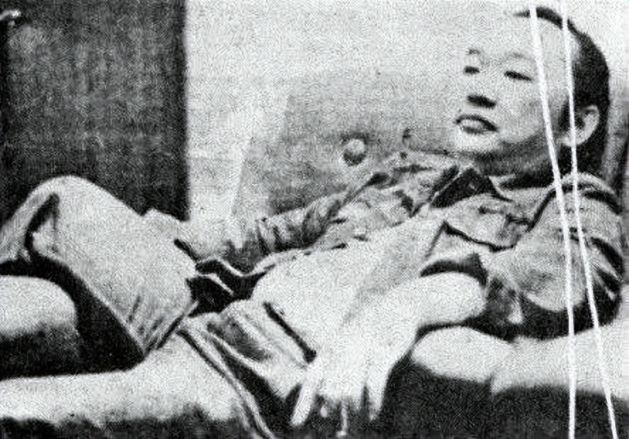 杨钧钧：当年的古龙御用女主惨遭群嘲，她经历了什么？