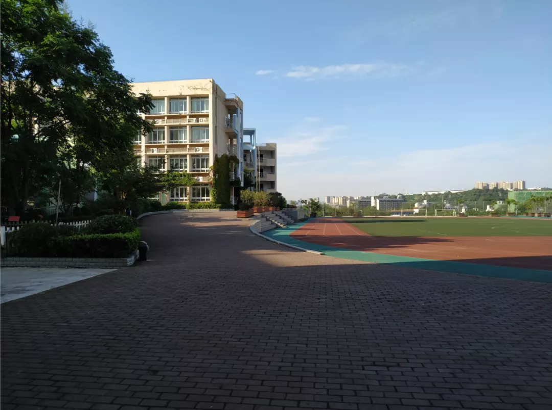 重庆校园文化建设丨清心远志，追光逐华—重庆市清华小学文化建设