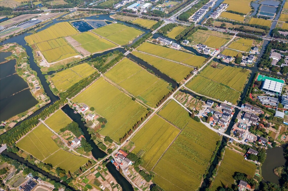 超实用！2022宅基地确权登记6六大法律知识必须要知道