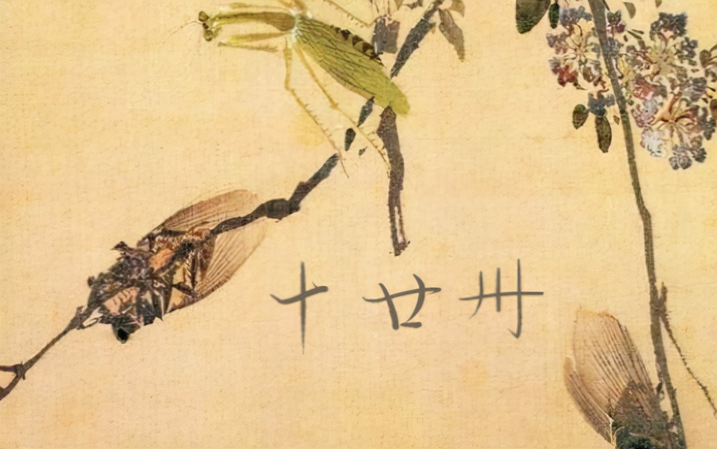 卌怎么读？卌的读音和意思