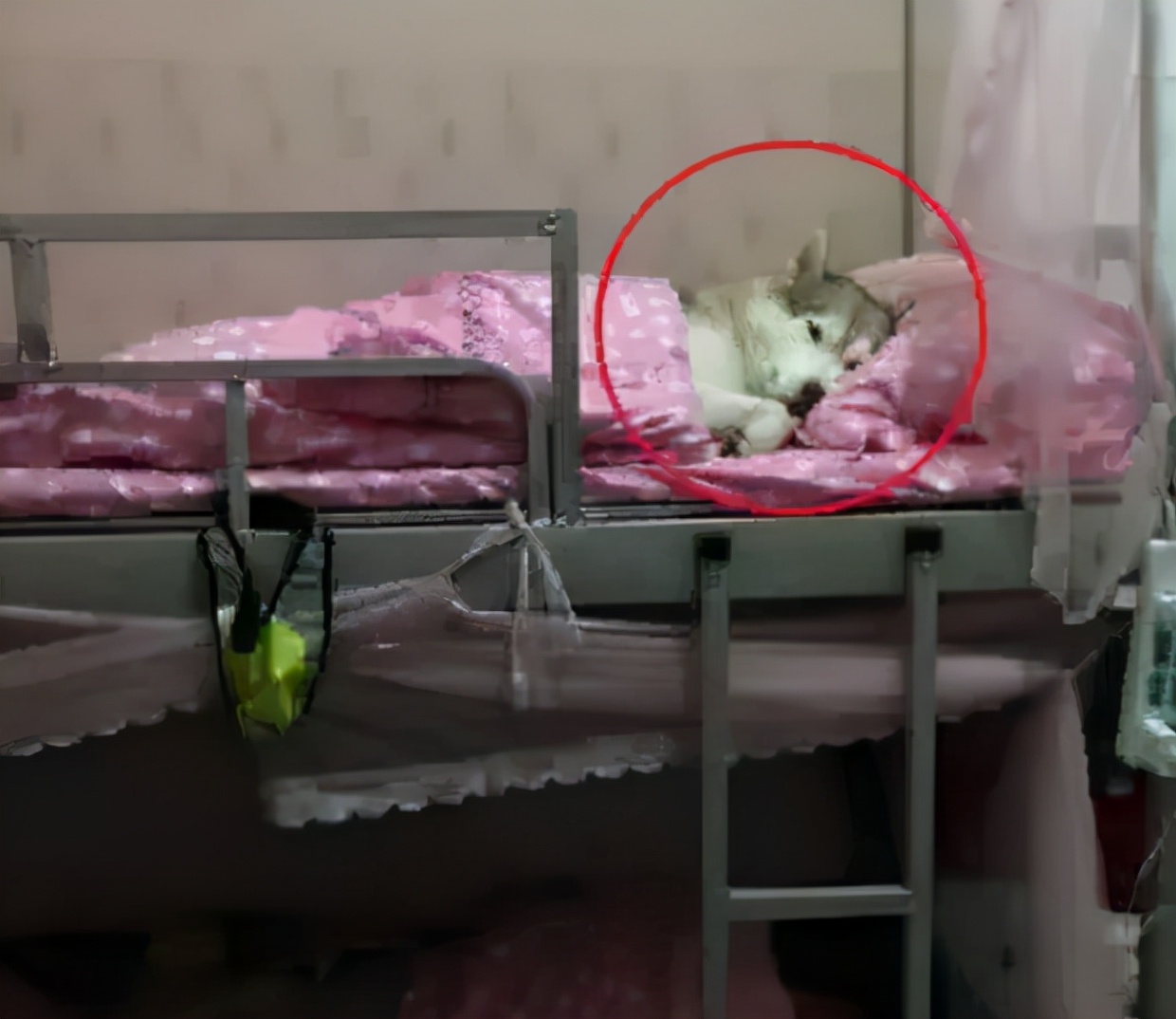 “五花八门，层出不穷”，大学生寝室“违禁品”，一个比一个有才