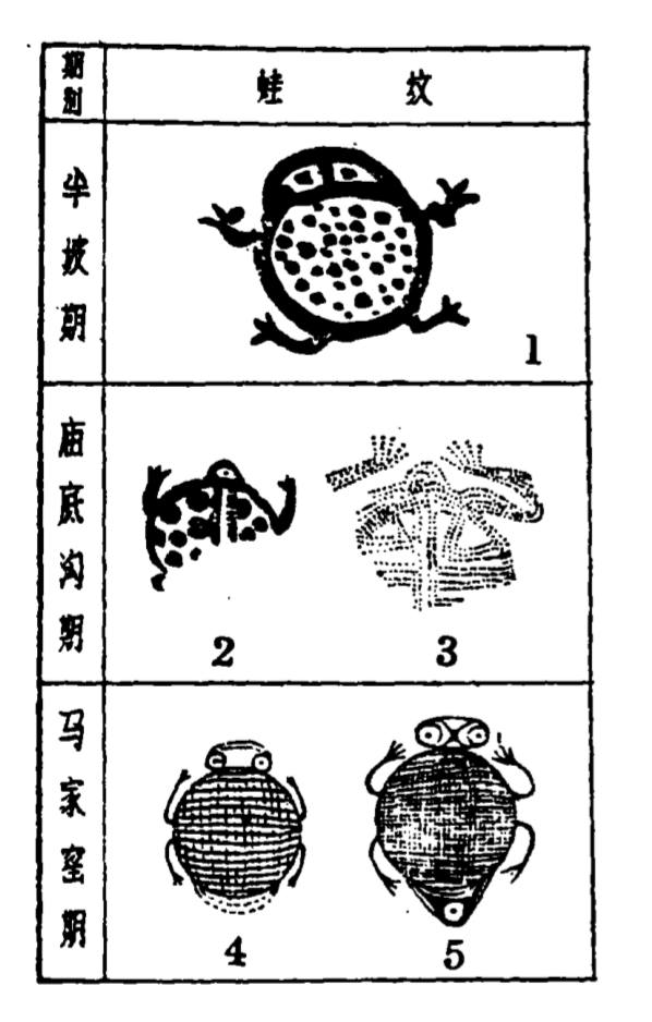 为何说女娲是一只雌性青蛙？考古学家观察陶纹：还真有这个可能性