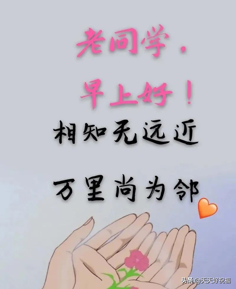 朋友圈同学情短句(珍惜同学情谊的句子唯美)