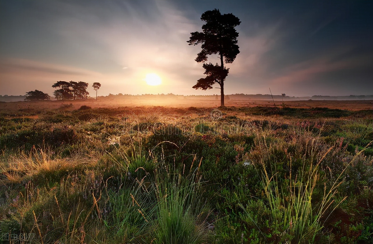 高考英语测试对高中生英语学习反拨作用的实证研究