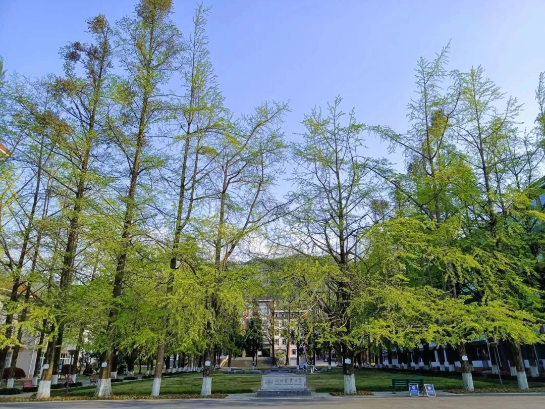 省政府重点培养支持！四川这个专业：坐拥国家级实力，排名全国百强！