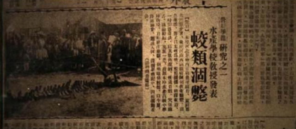 1934年辽宁一山村发现蛟龙坠地，70年后有人上交龙骨，真相如何？