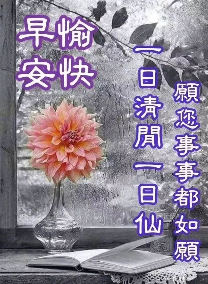 超级可爱的萌娃宝宝早上问好图片带字 早安心语祝福语