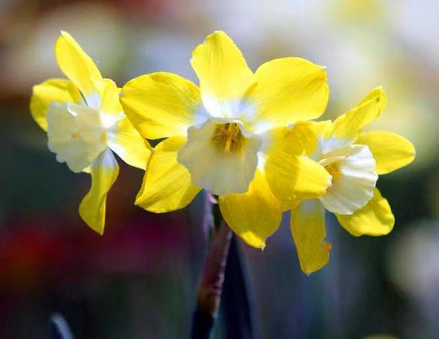 亲情的“等价交换”，最真实！别不信