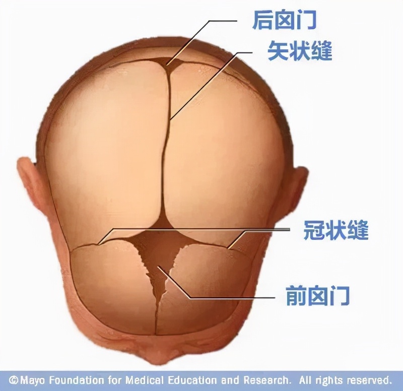 「家家母婴」宝宝的囟门，宝妈们解多少？