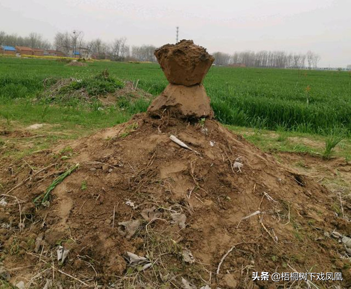 清明节在自家地里盗墓，从东汉墓里盗出现代工艺品，专家说是真货