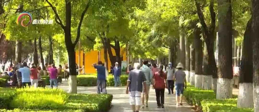 ��֪�����������ж����˺���������