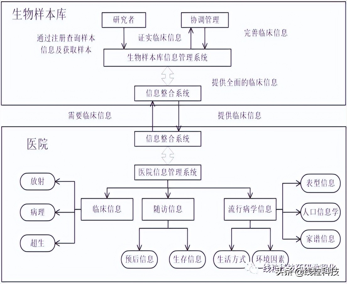 信息化生物样本库的发展与研究